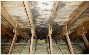 Tracking down the source of a leak on a roof surface might be tricky - Roof Armour