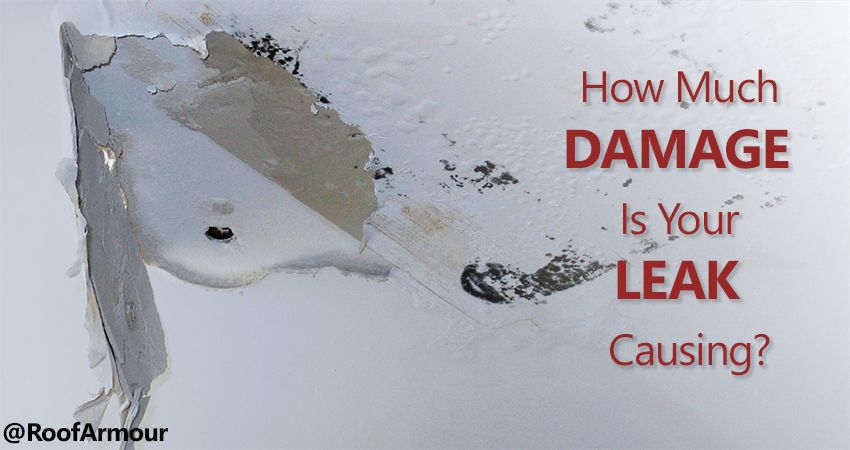 How much damage is your leaking causing-Roof Armour